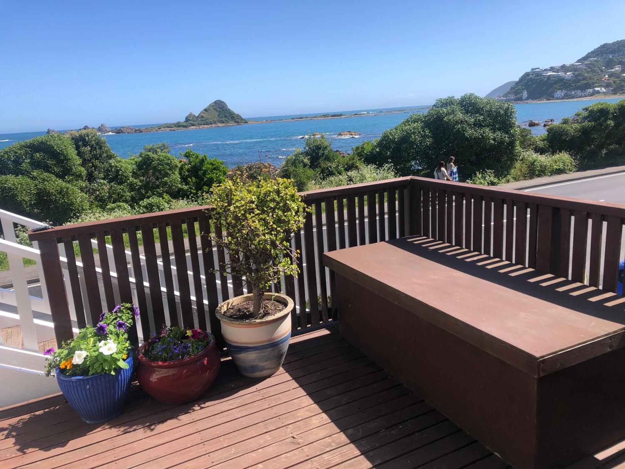 惠灵顿Seafront Haven In Island Bay With Deck, Outdoor Bath, And Parking公寓 外观 照片