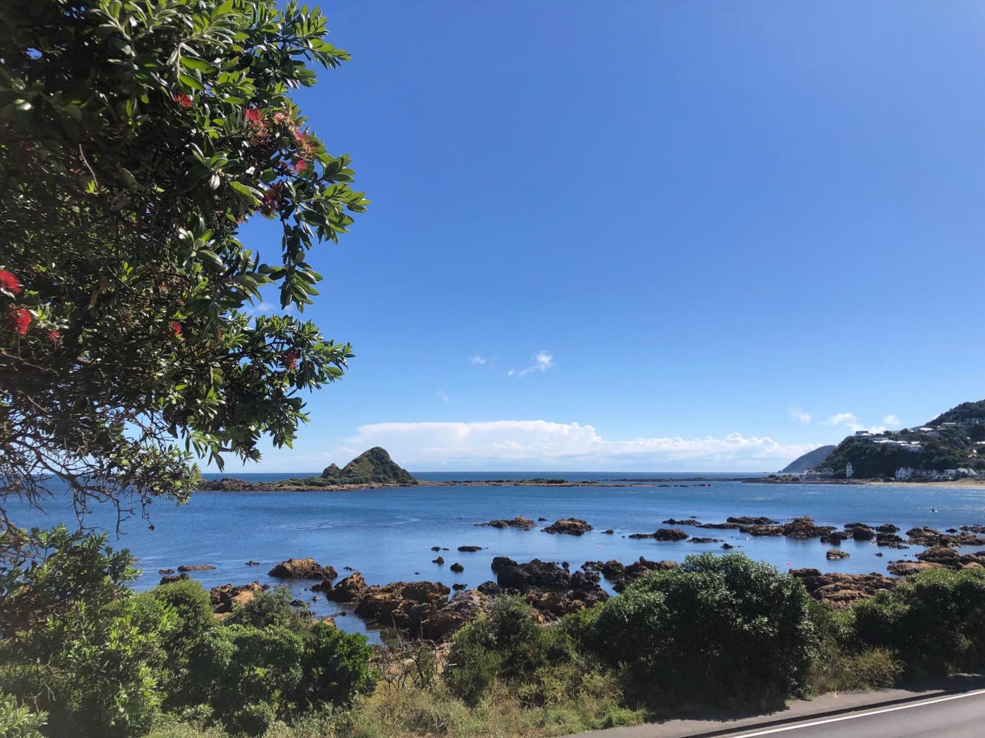 惠灵顿Seafront Haven In Island Bay With Deck, Outdoor Bath, And Parking公寓 外观 照片